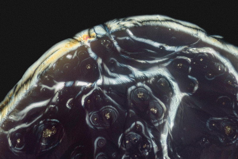Illustration for article titled Narcotics and Medicines Look Beautiful Under a Microscope